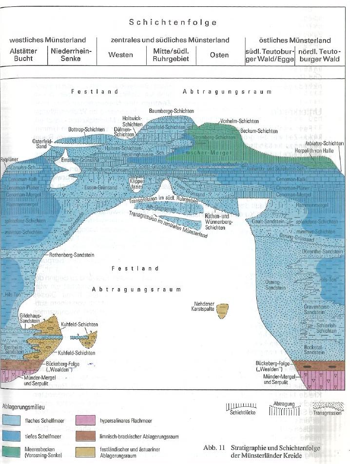 Abb. 5.4: Stratigraphie und Schichtenfolge der Münsterländer Kreide (aus: Geologie im Münsterland (GLA 1995)) 5.2.