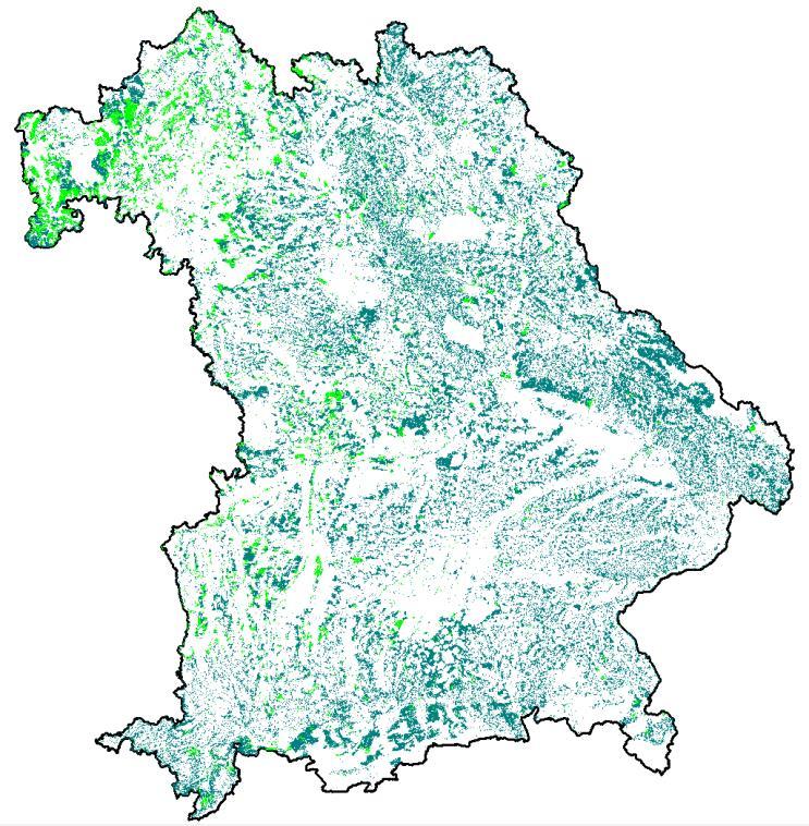 Wald in Bayern Waldfläche in Bayern: rd. 2,5 Mio. ha (36% der Landesfläche), rd. 54,2% Privatwald (rd. 700.000 Waldbesitzer) und rd.