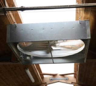 29: Klappbarer Ventilator für flexible Tenndurchfahrt im Anbindestall Für die maximale Frischluftzufuhr und genügend Licht im Stall sind offene Stallfenster