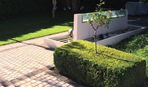 Radolfzell (D) Bei modernen Gärten ist eine Reduktion auf klare Formen und Farben