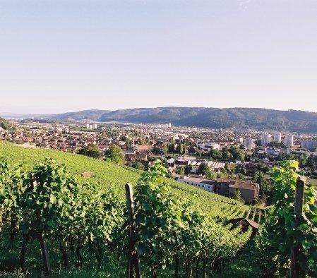 Die zweitgrösste Gemeinde im Kanton Aargau ist geprägt von der städtebaulichen Leitidee der Gartenstadt und weist eine Vielzahl von Grünflächen sowie Sport- und Naherholungsmöglichkeiten auf.