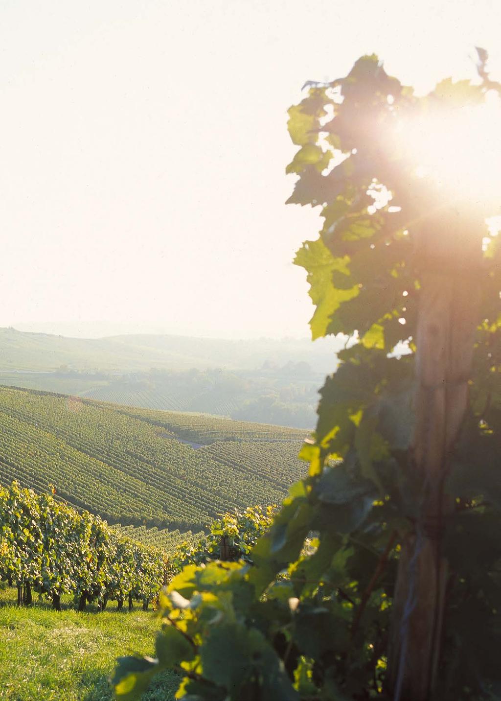 Wege durch den WeinSüden Ob Trollinger und Lemberger, Grauburgunder oder Chardonnay, ein Merlot oder doch ein Cuvée die Vielfalt der badischen und württembergischen Weinbaugebiete ist beeindruckend