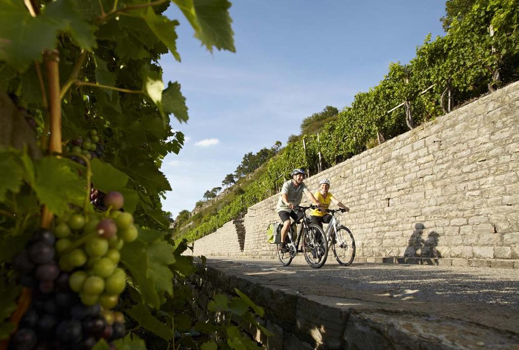 Sehenswertes Radwandern in den Weinbergen. S eit Jahrhunderten prägt in vielen Gegenden Baden- Württembergs der Weinbau nicht nur die Landschaften.