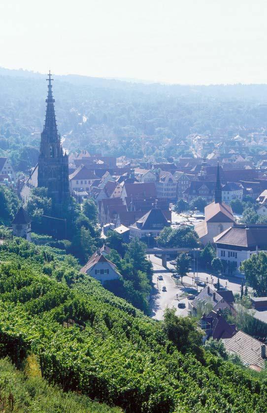Wer mehr über die (Kultur-)Geschichte des Weinbaus in Baden-Württemberg erfahren möchte, findet entlang der Weinrouten viele Anlaufpunkte.