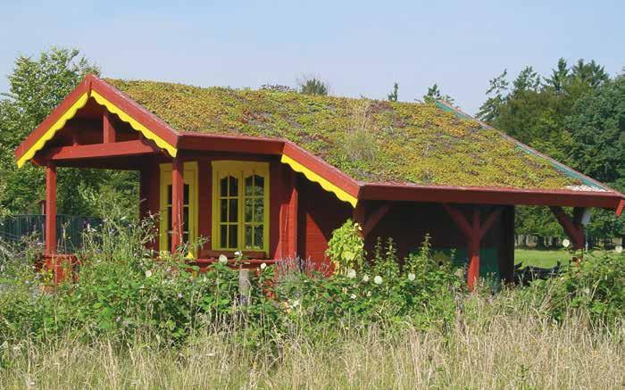 Diese grüne Dacheindeckung ist mit verschiedenen Bepflanzungen möglich (Gartenhaus bauseits farbbehandelt).