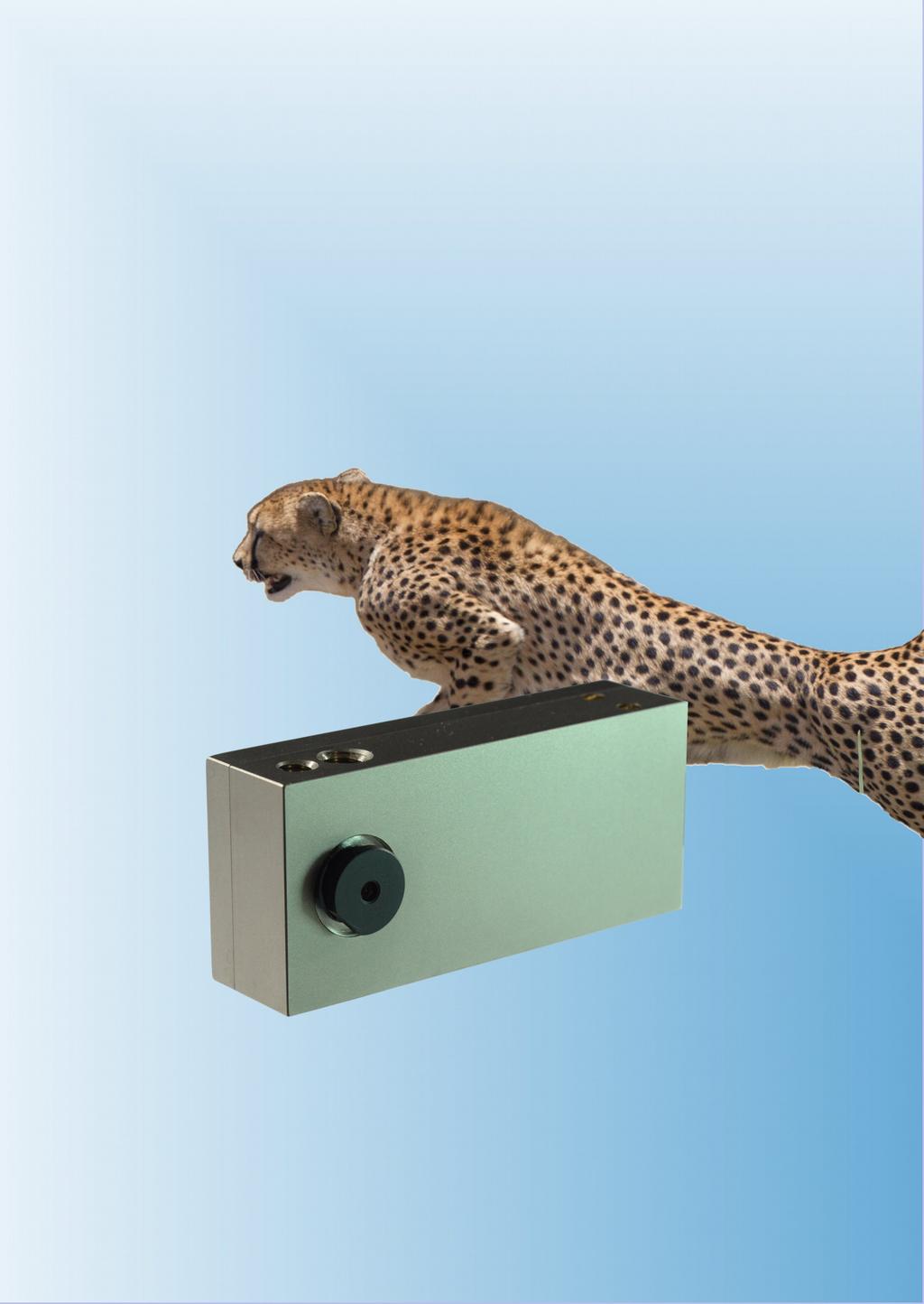 MRC HiSpeed MR-kompatible digitale Videokamera