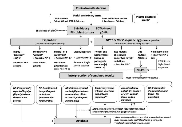 Abklärungsschema M.C. Patterson et al.