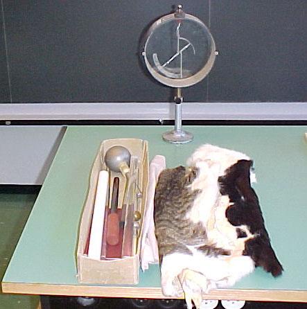 Elektrizität: Ladung zwei Sorten? Mit Katzenfell geriebener Bernsteinstab lädt Elektrometer auf. Mit Wolle geriebener Glasstab lädt Elektrometer auf.