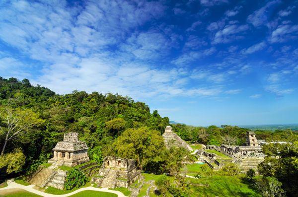 Tikal was einst die größte der klassischen Mayastädte. Etwa zu Beginn unserer Zeitrechnung wurde die Stadt erbaut und 900 Jahre später war Tikal wieder verlassen.