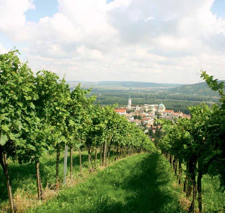 Weinbauratgeber 2017