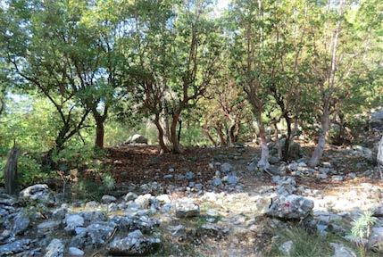 Tages führt uns auf den Musa Dağ, den Berg, der links über der Bucht von Adrasan aufragt. Oben liegt versteckt eine antike Stätte.