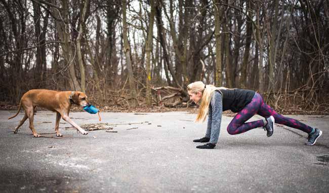 MOUNTAIN CLIMBER: Während der Hund etwas sucht um es danach zu apportieren, kann Frauli/Herrli beim Klettern am Boden ordentlich Gas geben und dabei die Rumpfmuskulatur optimal stärken.