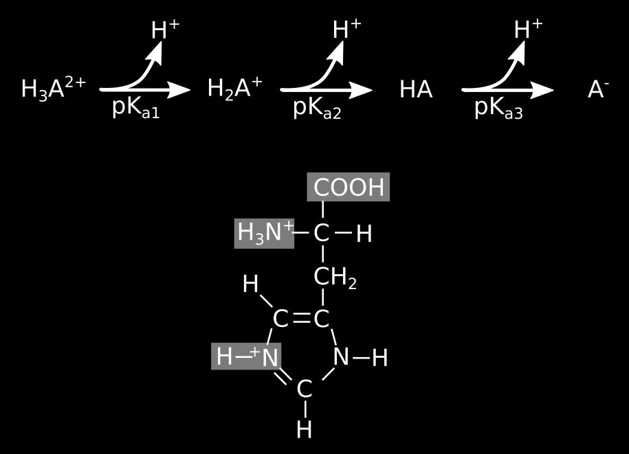 Glaselektrode als Indikator sind (A) Glycinhydrochlorid und (B) Histidindihydrochlorid mit 0,1 M Natronlauge zu titrieren.