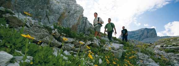 DOLOMITI Di BRENTA TREK COUNTRY 14 Ein Streifzug durch die Kultur der Täler im Brentagebiet Das Dolomiti di Brenta Trek Country ist eine Rundstrecke, die, im Vergleich zur DBT-Expert-Strecke, auf