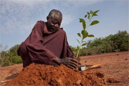 Kleinbäuerliche Landwirtschaft im Sahel: gelebte