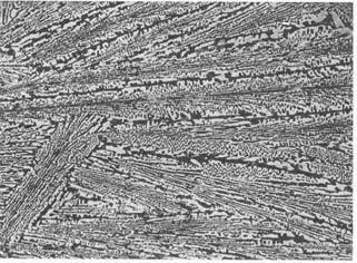 14, dunkle Flecken: Perlit; gesprenkelte Fläche: Ledeburit). Das Eutektikum Ledeburit Unmittelbar nach der Erstarrung liegt ein feinkörniges Gemenge aus -Mischkristallen und Zementit vor.