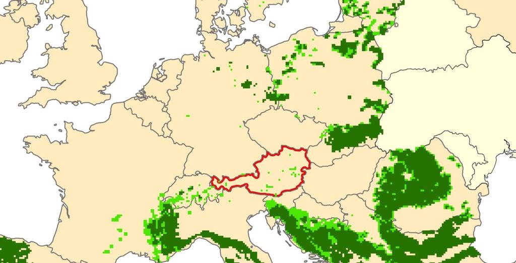 Zuwanderung nach Österreich sichere und wahrscheinliche Herkunftspopulationen Baltische P. MitteleuropäischeTiefland-P. Übereinstimmung von mt-dna-haplotypen (die in der Alpen-P.