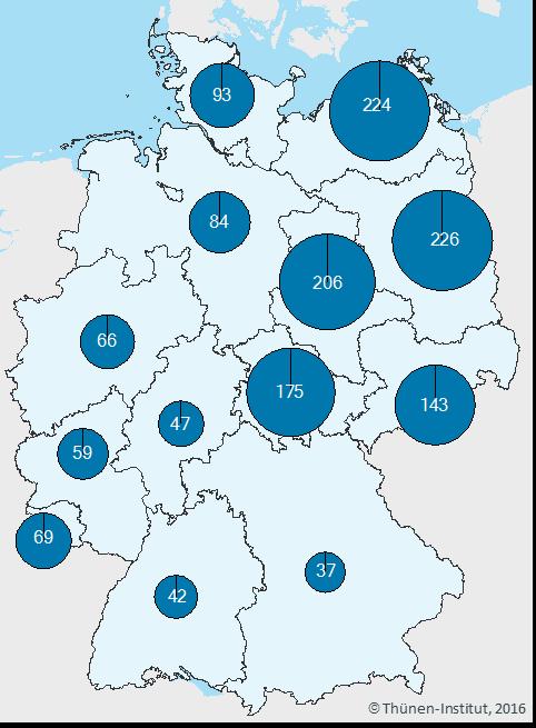 Auf einem deutschen Milchviehbetrieb stehen durchschnittlich 62 Kühe. Die Spannweite ist jedoch groß und reicht von weniger als 1 bis mehr als 1. Kühen pro Betrieb.