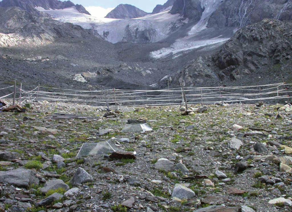 Klimawandel Risiko für alpine Pflanzen Abb.