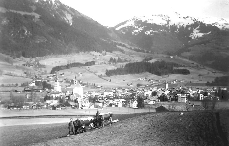 Landnutzung in den Alpen Abb.