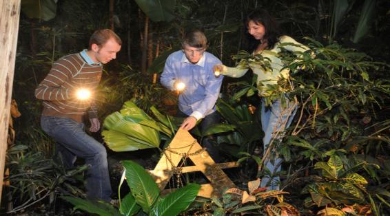 3. Discovery-Tour bei Nacht Im nächtlichen Dschungel-Flair werden Ihre