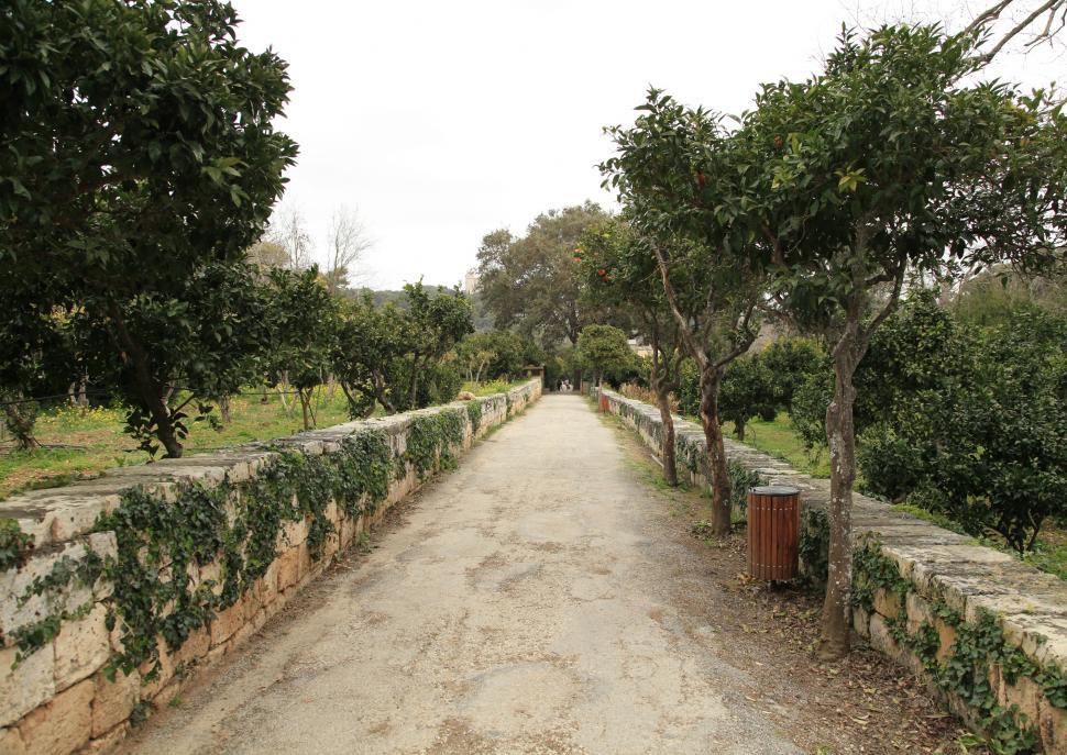 Busketto-Gärten Dingli-Klippen Gozo Weiterfahrt durch die Busketto-Gärten. Die parkähnliche Anlage in der Nähe der Gemeinde Dingli ist ein beliebtes Naherholungsgebiet für die maltesische Bevölkerung.
