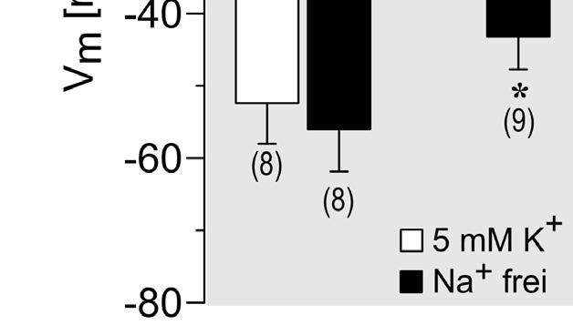 KCNJ5 WT erzeugte bei extrazellulär 50 mm K + einen stark einwärtsgleichrichtenden Strom, der mit sinkender K + Konzentration im Bad abnahm.