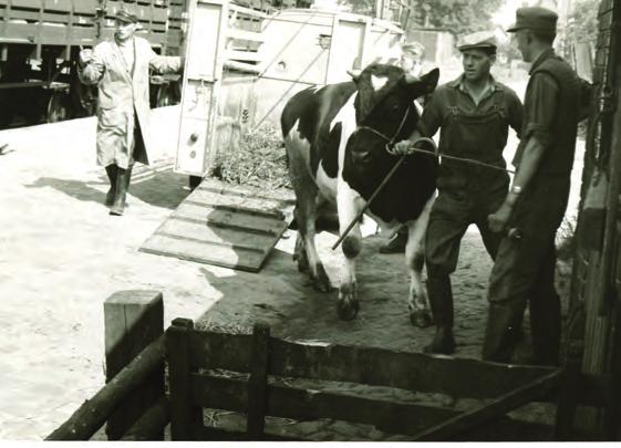Der Raum Asendorf war in den achtziger Außerdem betreibt die Viehvermarktung seit Jahren geprägt von zahlreichen kleinen 2004 eine Systemferkelaufzucht mit 4 gemischt-landwirtschaftlichen Betrieben.