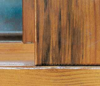 ANhang Holzfenster ohne Bläuebefall Holzfenster mit Bläuebefall Vorbeugender chemischer Holzschutz.