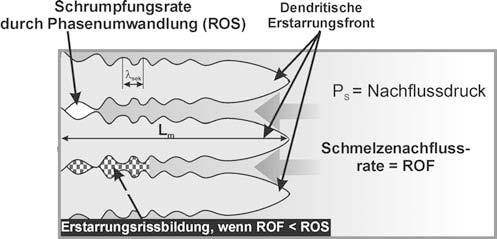 Stand der Technik Beim ROF-ROS Modell wird vorausgesetzt, dass die Schmelze zur Volumenkompensation durch ein permeables Dendritennetzwerk hindurchfließen muss (Bild 22).