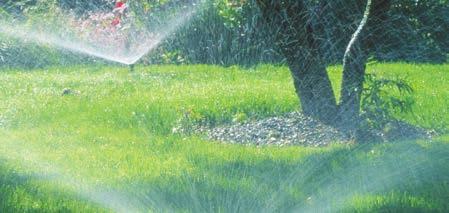 Mit punktgenauer Bewässerung per Micro-Drip- System sparen Sie viel Wasser.* Grund: Die Pflanzen werden in Wurzelnähe mit Wasser versorgt, somit verdunstet oder versickert kaum Wasser ungenutzt.