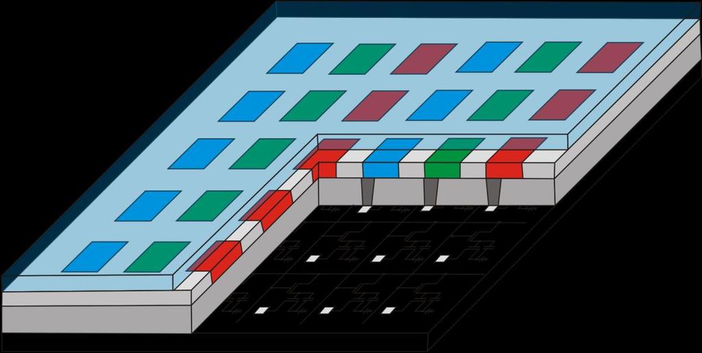 Organische Elektronik in