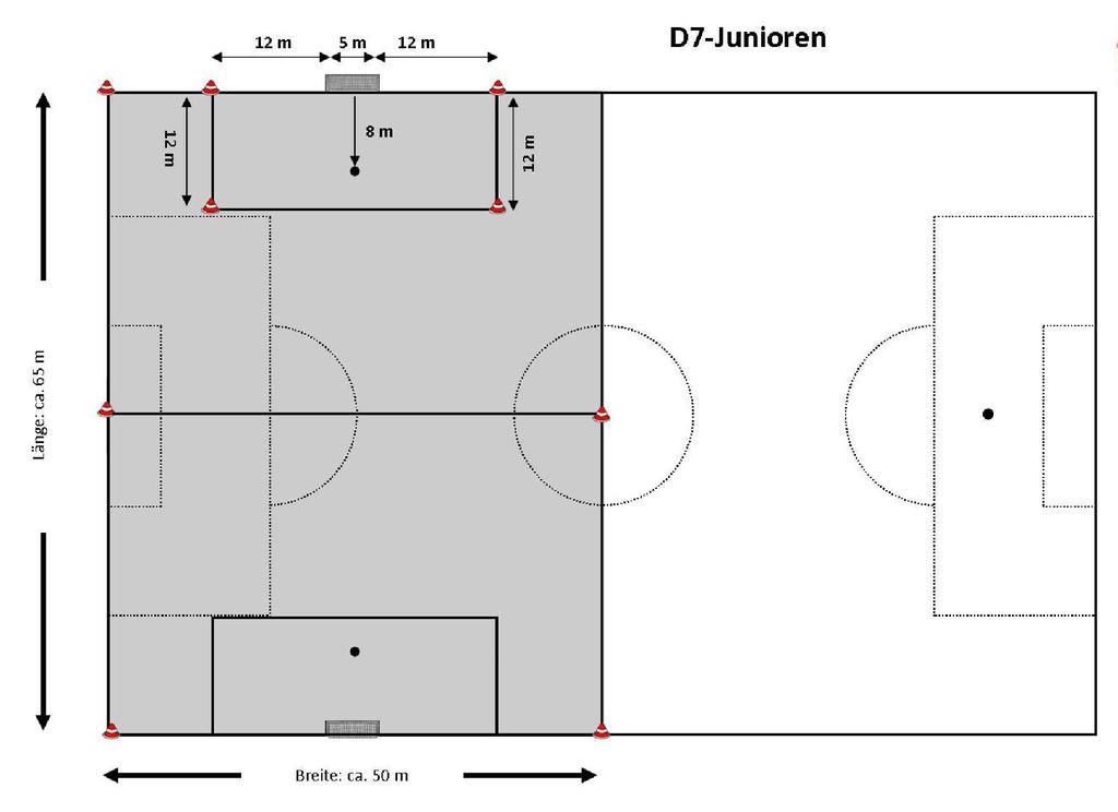 Spielfeldgröße D7- und C7-Junioren Der Deutsche Fußball-Bund hat als Empfehlung eine Spielfeldgröße von ca. 65 x ca. 50 m (Strafraumgröße 29 x 12 m, Strafstoßpunkt 8 m) ausgesprochen.