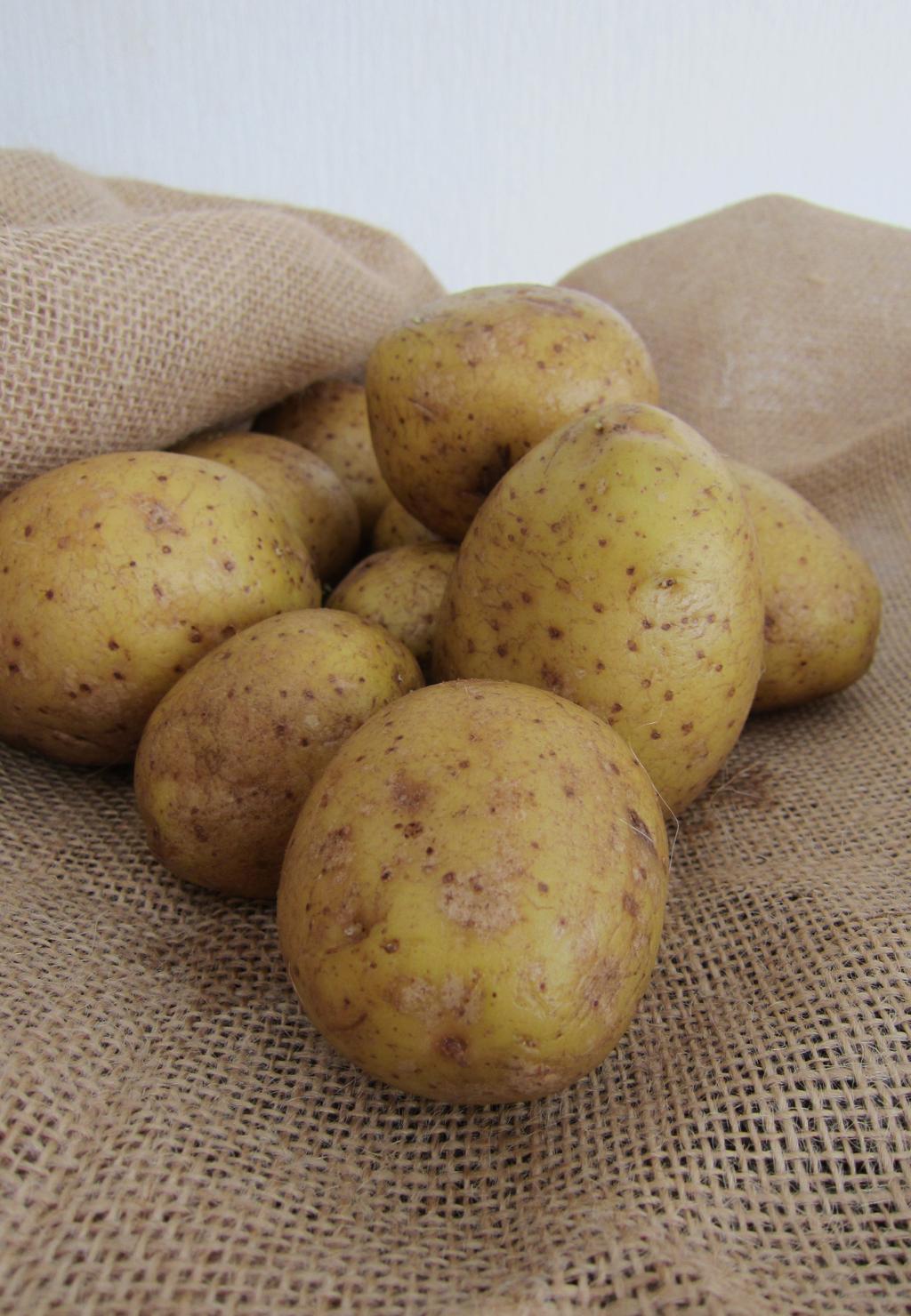 Das erwartet Sie an unserem verkaufsoffenen Wochenende am 10. und 11. September während des Kartoffelmarktes.