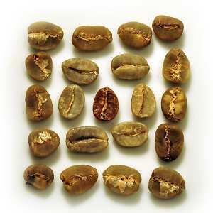 4. Vee's Kaffee Grand-Cru-Kaffee aus selektiertem Anbau Vee's (sprich: Wies) Kaffee ist ein Genuss von höchster Qualität.
