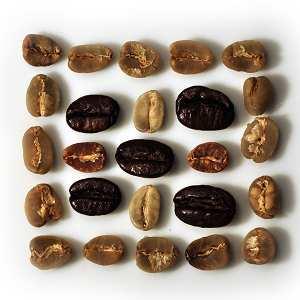 5. Die kleine Kaffeeschule 5.1 Der Ursprung des Kaffees Kaffee wird heute in rund 80 Ländern rund um den Äquator angebaut und hat seinen Ursprung wohl in Äthiopien. Angeblich im 9.