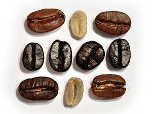 9. Professionelle Kaffeeverkostung Regelmäßige Verkostung von Kaffee (Cupping) verfolgt diese Ziele: Beurteilung des angebotenen grünen Kaffees (Defekte); Bestimmung des optimalen Röstgrades;