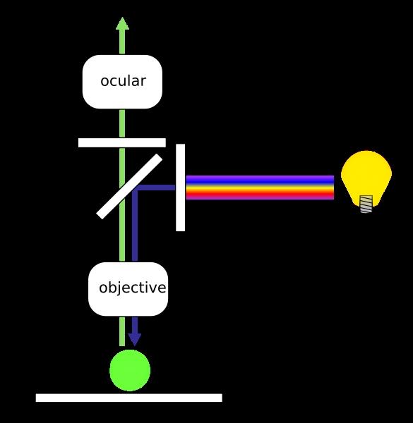 Fluoreszenzmikroskopie, mit Hilfe derer einzelne Moleküle in