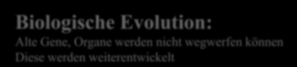 Evolution Biologische