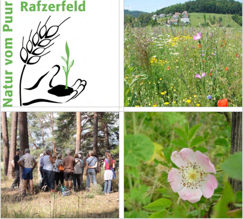 Natur vom Puur im Rafzerfeld Jahresbericht 2015 Im Auftrag