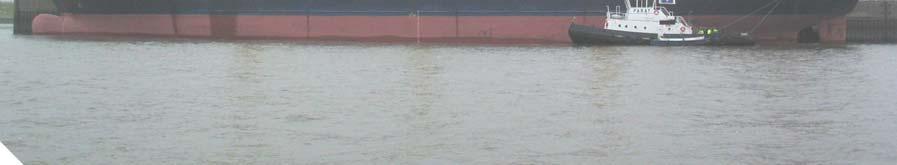 1 Foto Abbildung 2: Schiffsfoto 2 Daten Schiffsname: SENANUR CEBI Schiffstyp: Bulker/Containerschiff Nationalität/Flagge: Republik Türkei Heimathafen: Istanbul IMO Nummer: 9180956