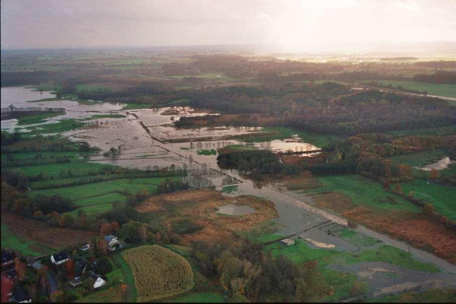 Hochwasser 1998 Trave bei Sühlen