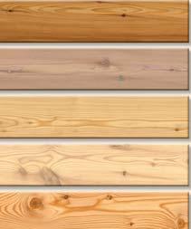 > Die Logistik der Firma STIA Holzindustrie GmbH ist darauf ausgelegt, Holzarten in den verschiedenen Sortierungen roh zu produzieren und zwischenzulagern.