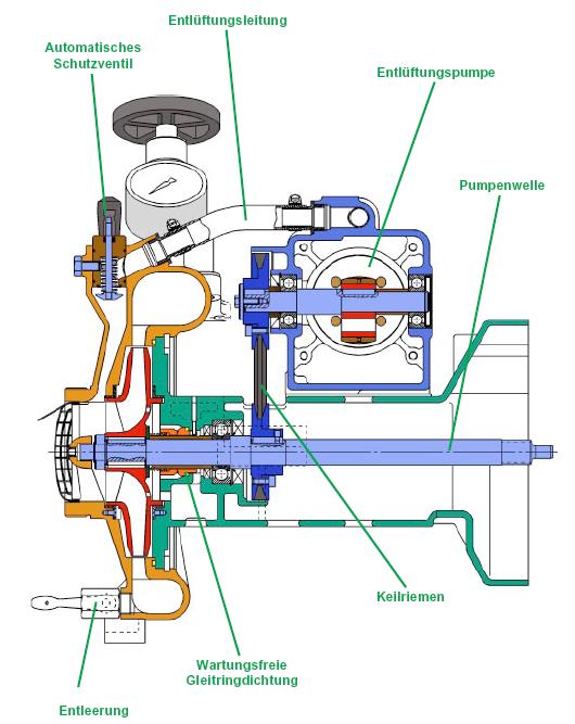Fortschrittliche Pumpentechnik: Einstufige Kreiselpumpe in Spannringbauweise Gleitringdichtung Dreifache