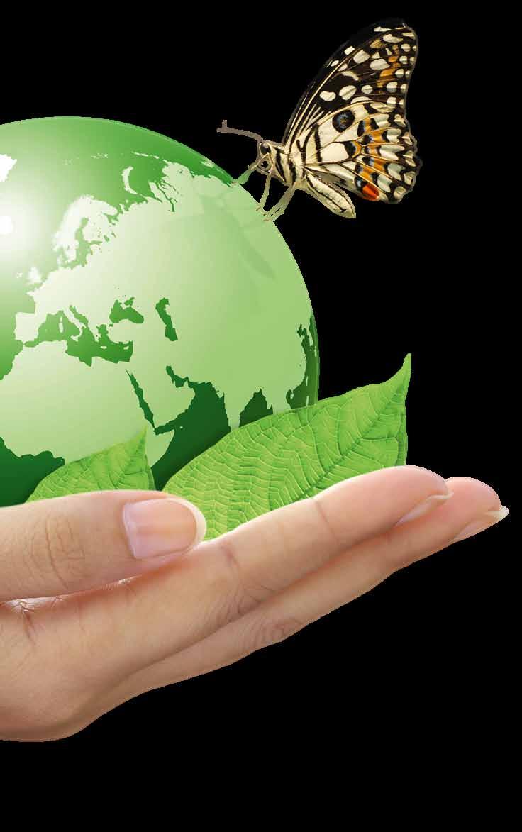 5 Die Zukunft im Focus Nachhaltigkeit und Recyclebarkeit OWA-Deckenplatten bestehen aus einem biolöslichen Gemenge, gewonnen aus natürlichen Quellen und recycelten Materialien in wechselnden