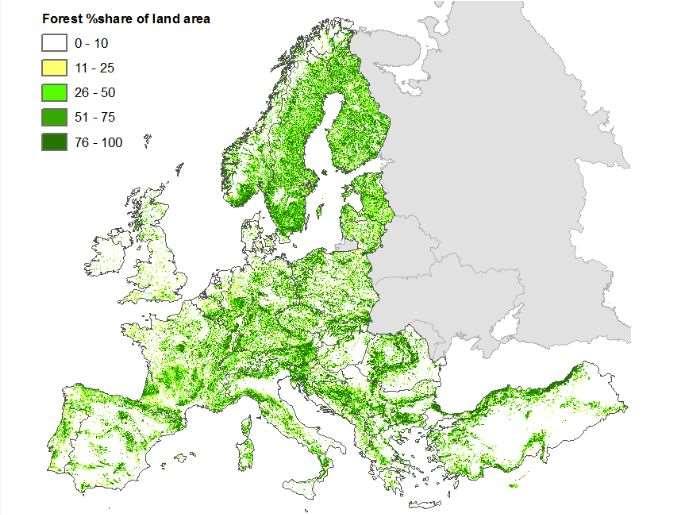 Wald und Natura 2000 in der EU Land Gesamtfläche Natura 2000 Waldfläche in Natura 2000 Waldfläche als % von
