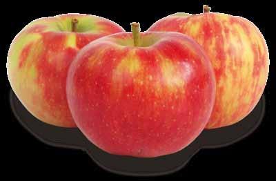 Äpfel aus guter Hand Der LOGONA klärende Reinigungsschaum wirkt effekti und