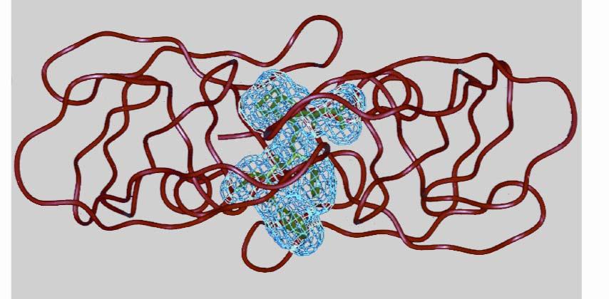 HIV-1 Protease-Inhibitoren verhindern die Virusreifung Aktives Zentrum mit