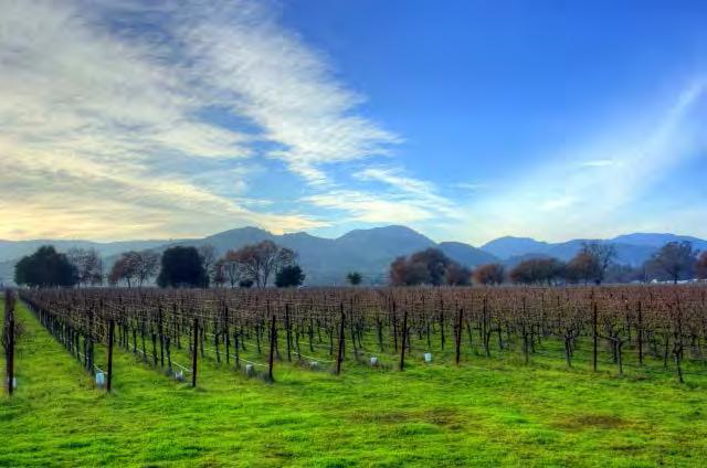 3 beispielhafte Weine, die perfekt das California Feeling widerspiegeln: Sonne, Freiheit, Genuss und Lifestyle Ein ausdrucksstarker