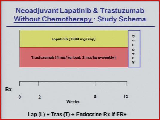 Neoadjuvante Duale HER2 Blockade mit Trastuzumab und Lapatinib + endokrin falls ER+ ohne